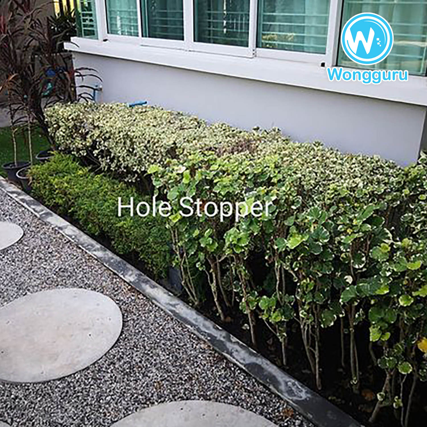 บริการปิดโพรงใต้บ้านโดยวงศ์กูรู บริการปิดโพรงใต้บ้านโดยวงศ์กูรู