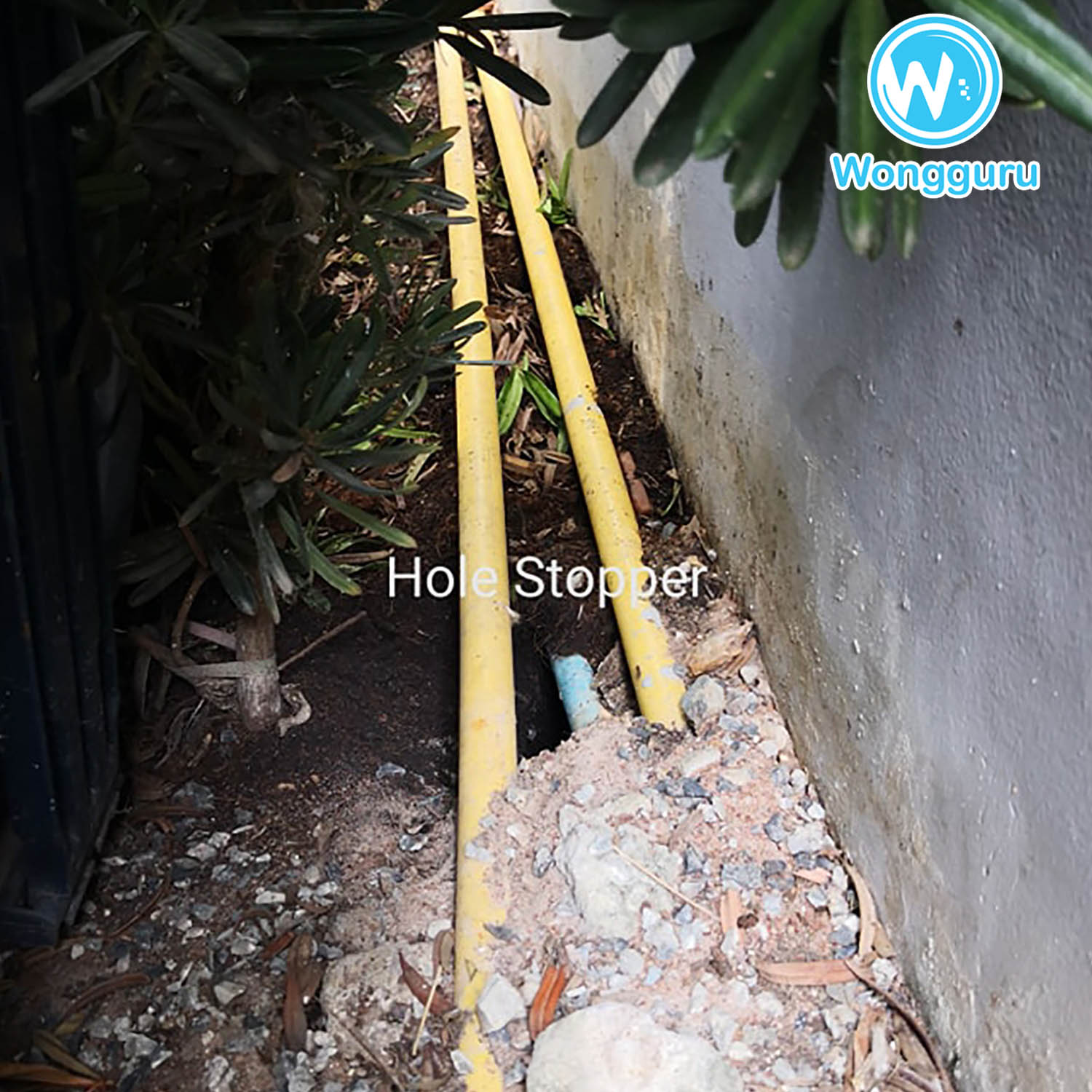 บริการปิดโพรงใต้บ้านโดยวงศ์กูรู บริการปิดโพรงใต้บ้านโดยวงศ์กูรู