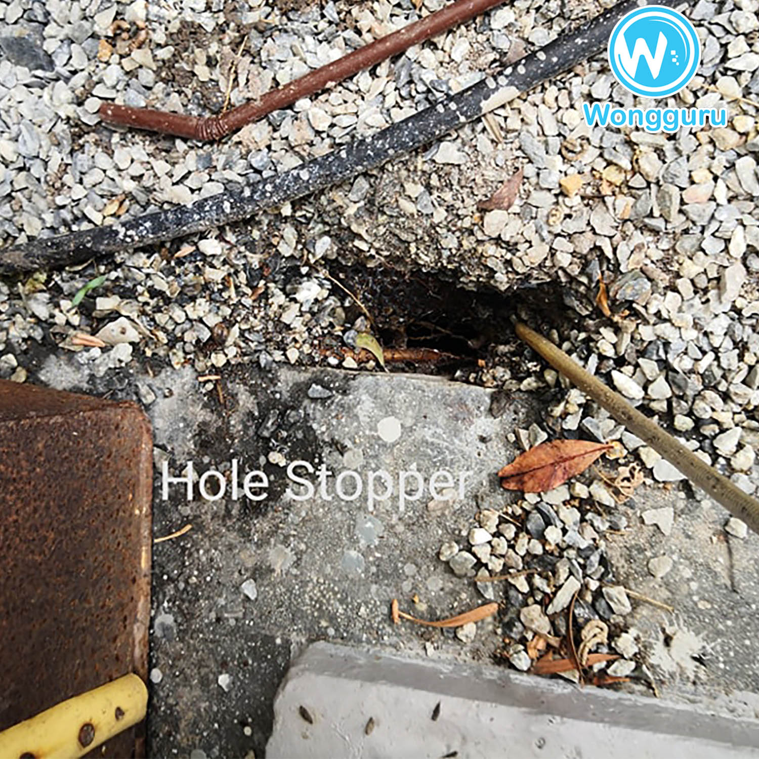 บริการปิดโพรงใต้บ้านโดยวงศ์กูรู บริการปิดโพรงใต้บ้านโดยวงศ์กูรู