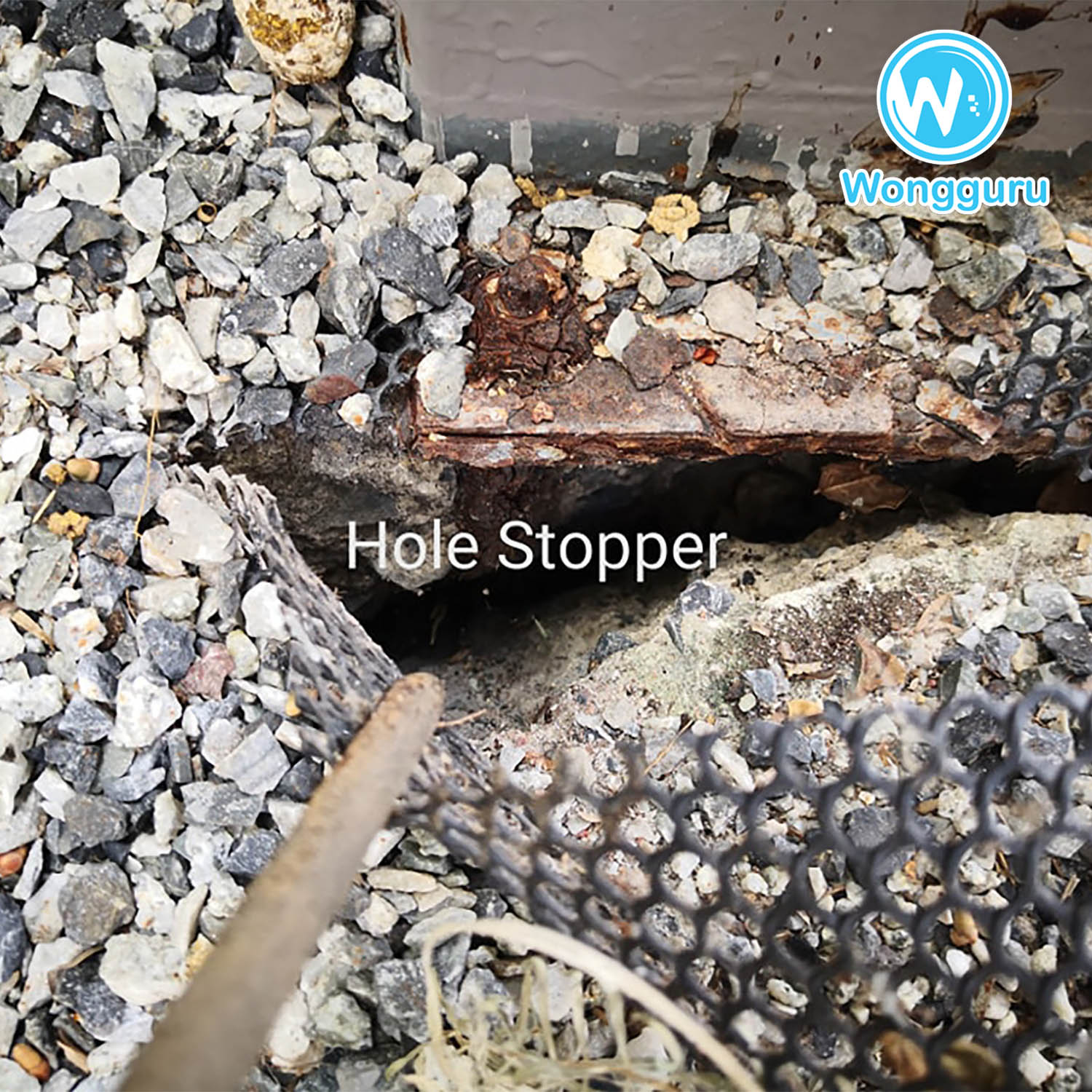 บริการปิดโพรงใต้บ้านโดยวงศ์กูรู บริการปิดโพรงใต้บ้านโดยวงศ์กูรู