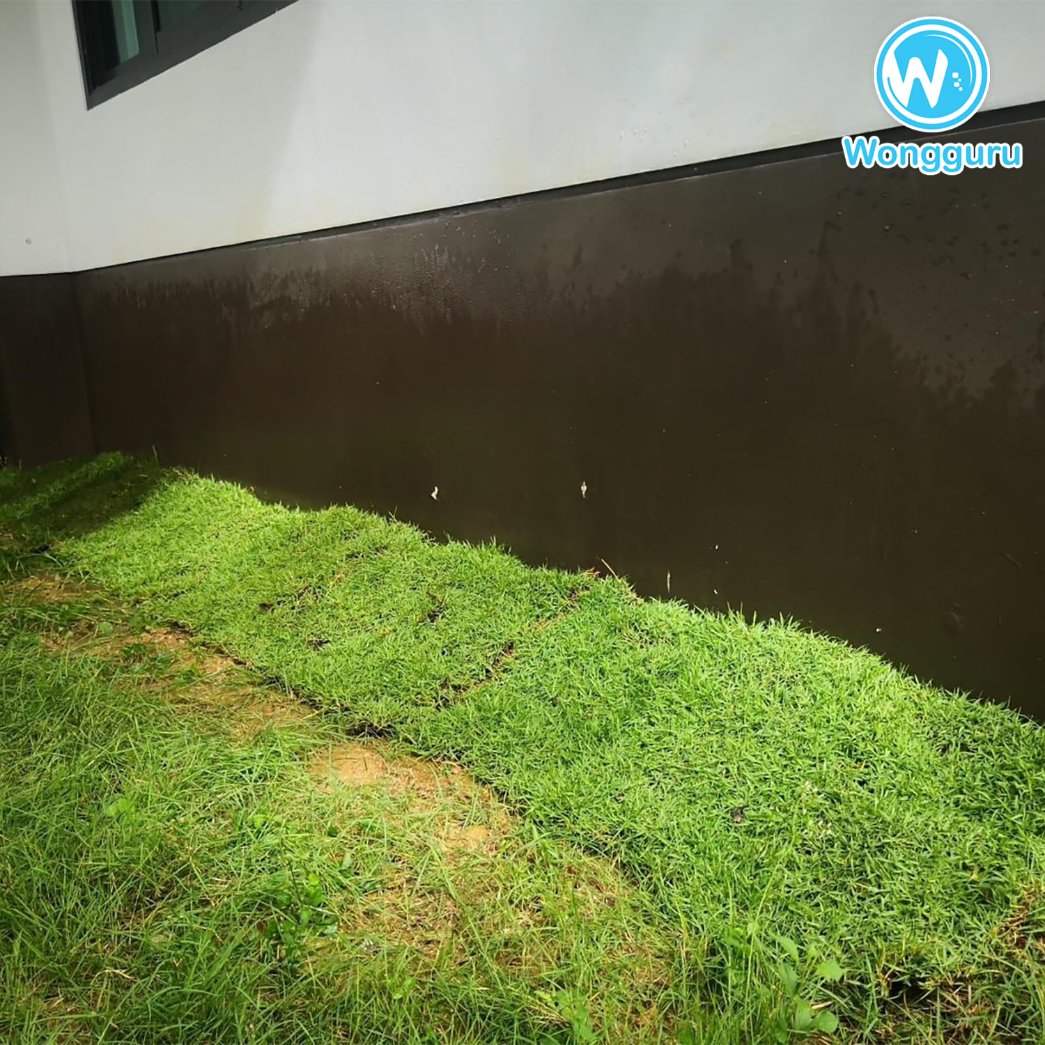 ข้อดีของการปิดโพรงใต้บ้านเร็ว ข้อดีของการปิดโพรงใต้บ้านเร็ว