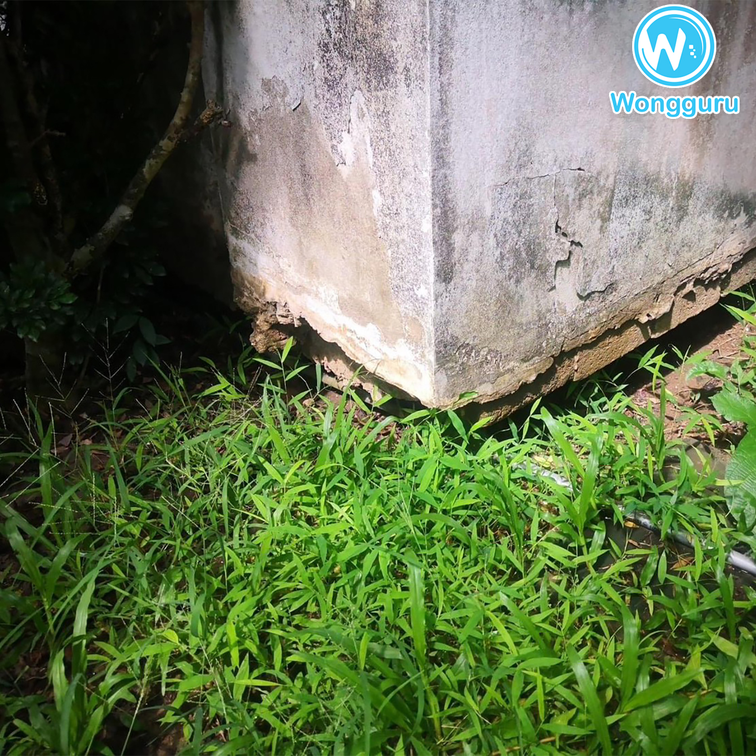 โพรงใต้บ้านที่จุดซักล้าง โพรงใต้บ้านที่จุดซักล้าง