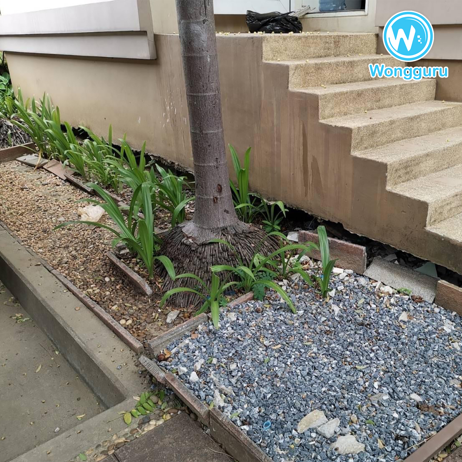 หน้าฝนกับโพรงรอบบ้าน หน้าฝนกับโพรงรอบบ้าน