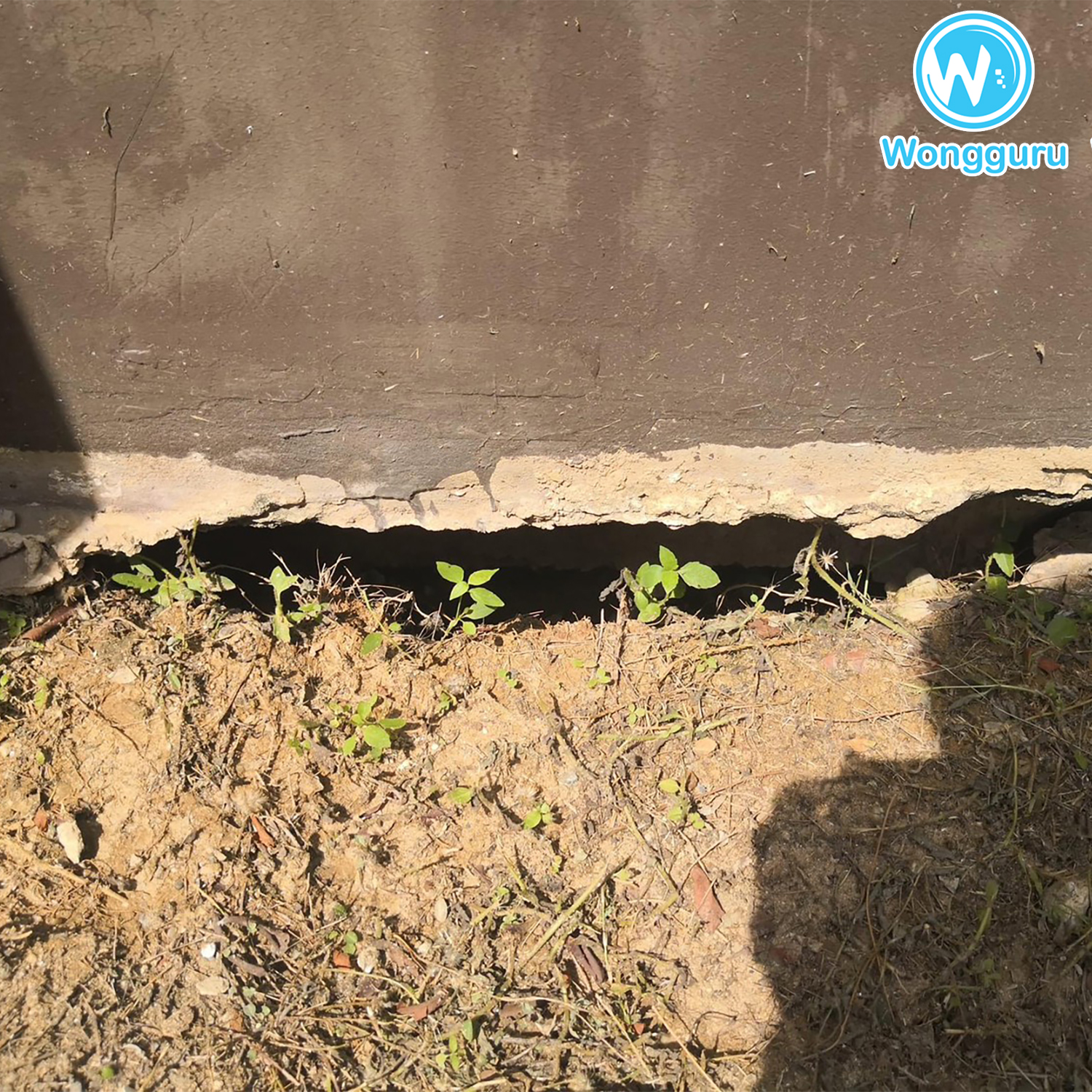 หน้าฝนกับโพรงรอบบ้าน หน้าฝนกับโพรงรอบบ้าน