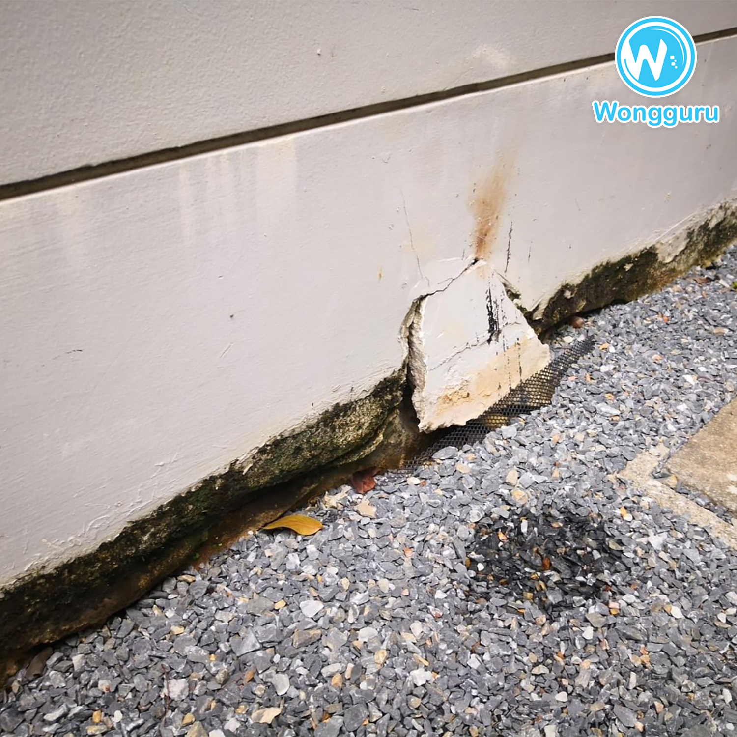 โพรงใต้บ้านตรงทางเดิน โพรงใต้บ้านตรงทางเดิน