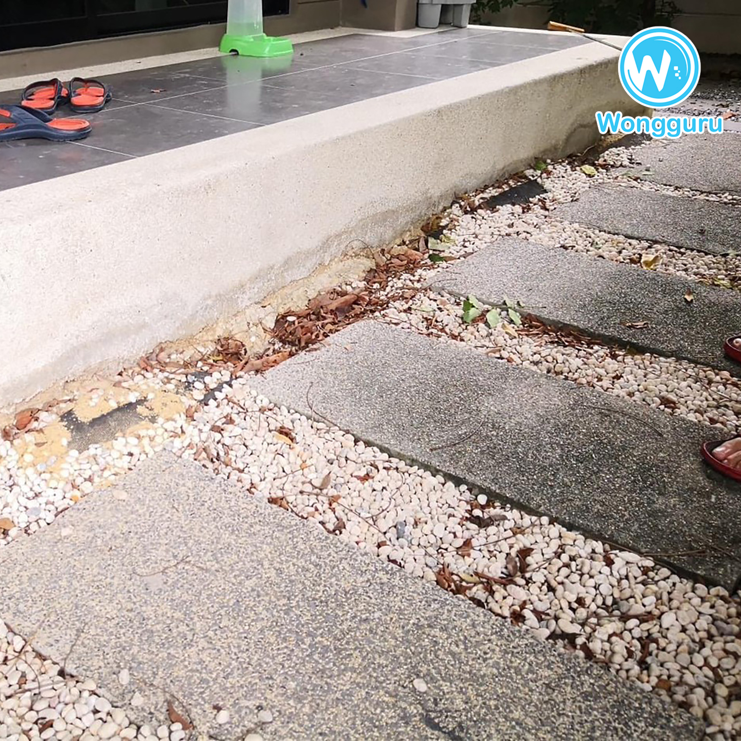 โพรงใต้บ้านตรงทางเดิน โพรงใต้บ้านตรงทางเดิน