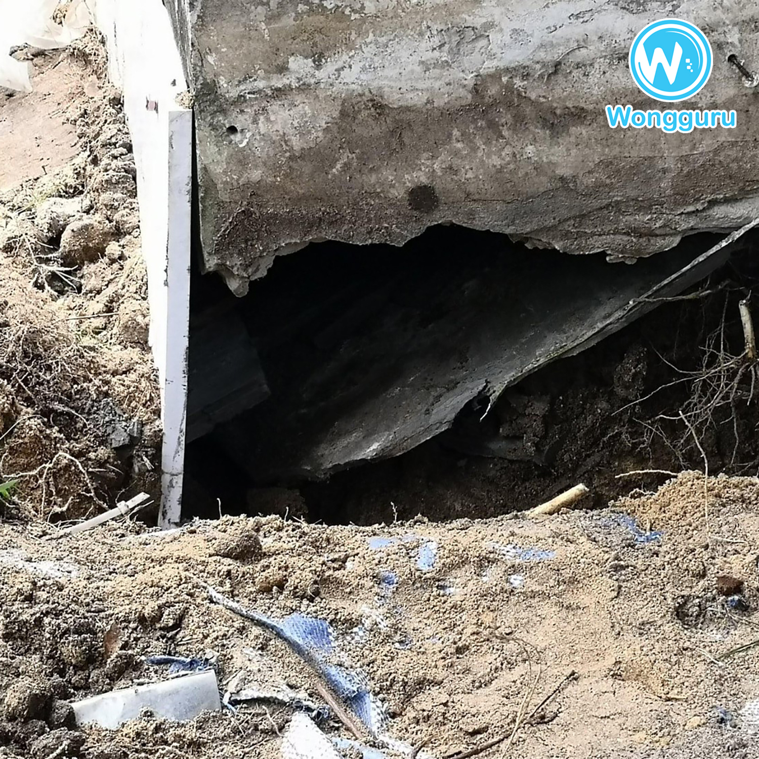 มีสัตว์อาศัยอยู่ในโพรงใต้บ้าน มีสัตว์อาศัยอยู่ในโพรงใต้บ้าน