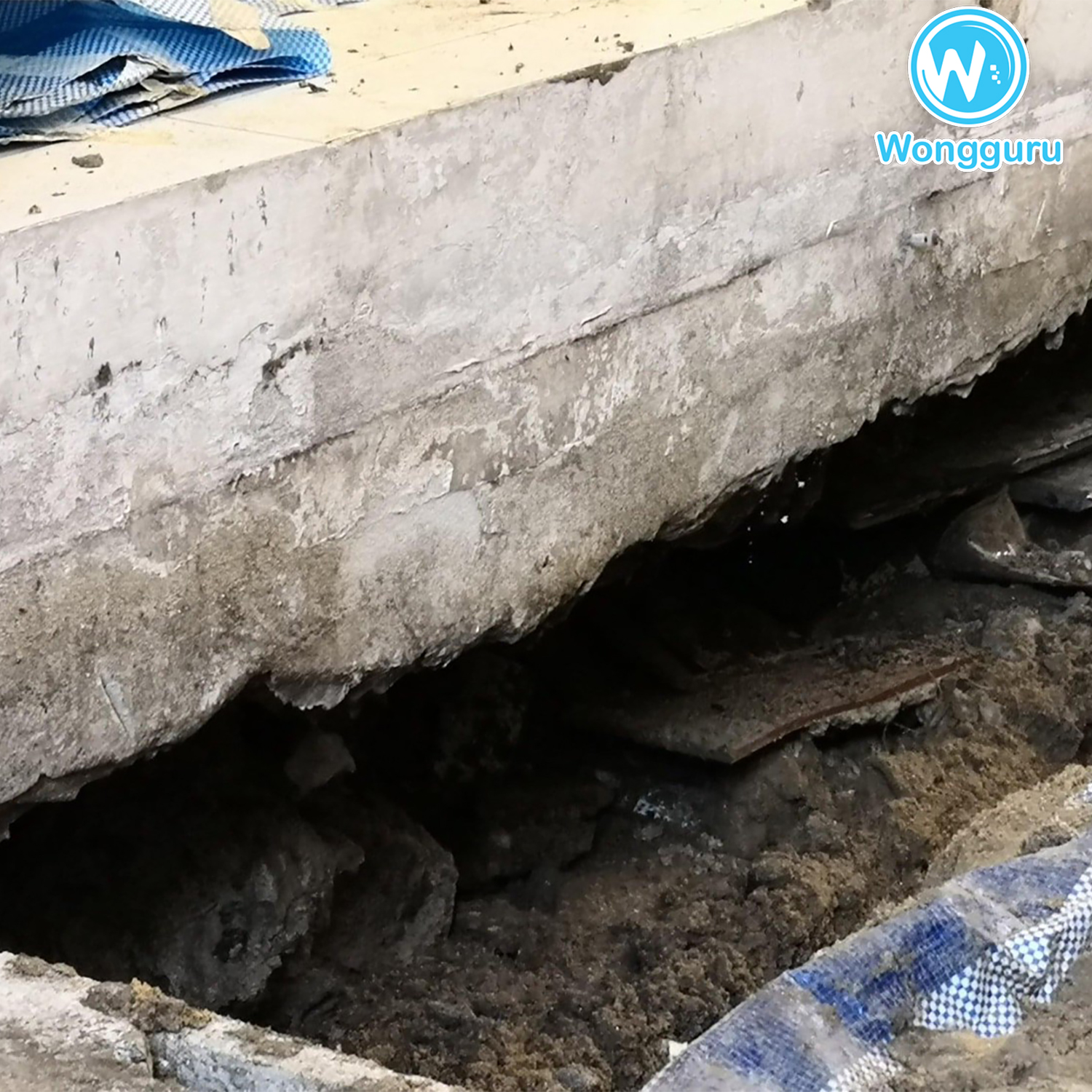 มีสัตว์อาศัยอยู่ในโพรงใต้บ้าน มีสัตว์อาศัยอยู่ในโพรงใต้บ้าน