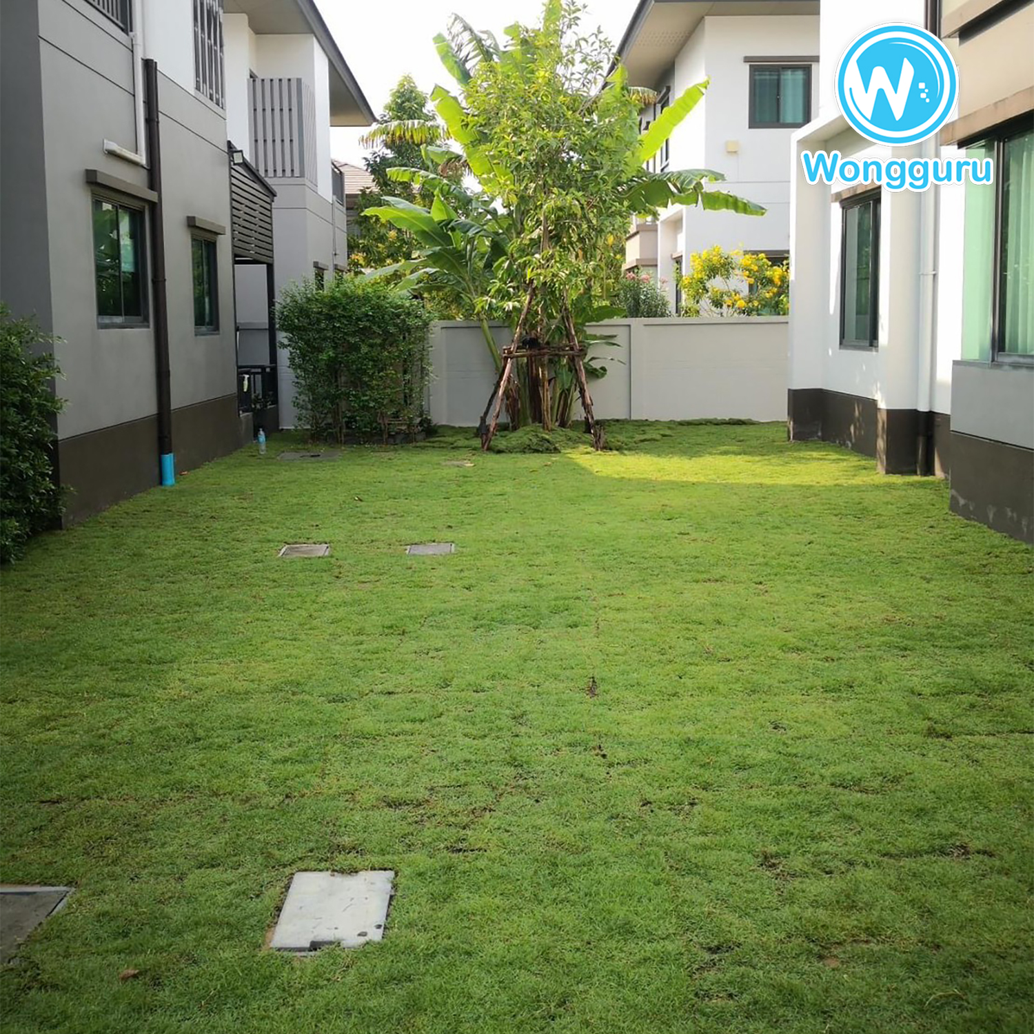 ปิดโพรงใต้บ้าน โดยวงศ์กูรู มีบริการเสริมในการถมดินและปูหญ้ารอบบ้าน ปิดโพรงใต้บ้าน โดยวงศ์กูรู มีบริการเสริมในการถมดินและปูหญ้ารอบบ้าน