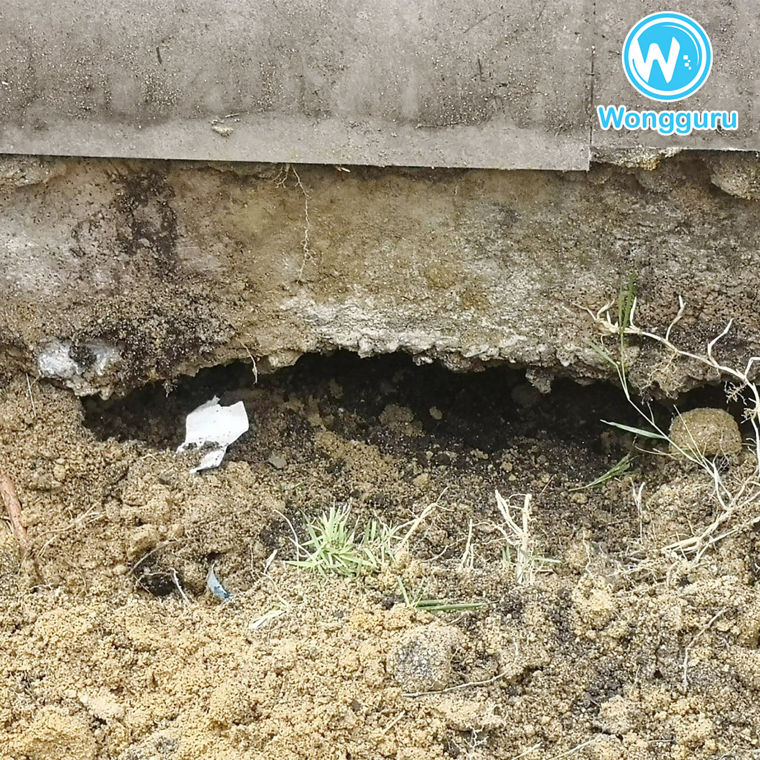 ปิดโพรงใต้บ้านทำเองได้ ปิดโพรงใต้บ้านทำเองได้