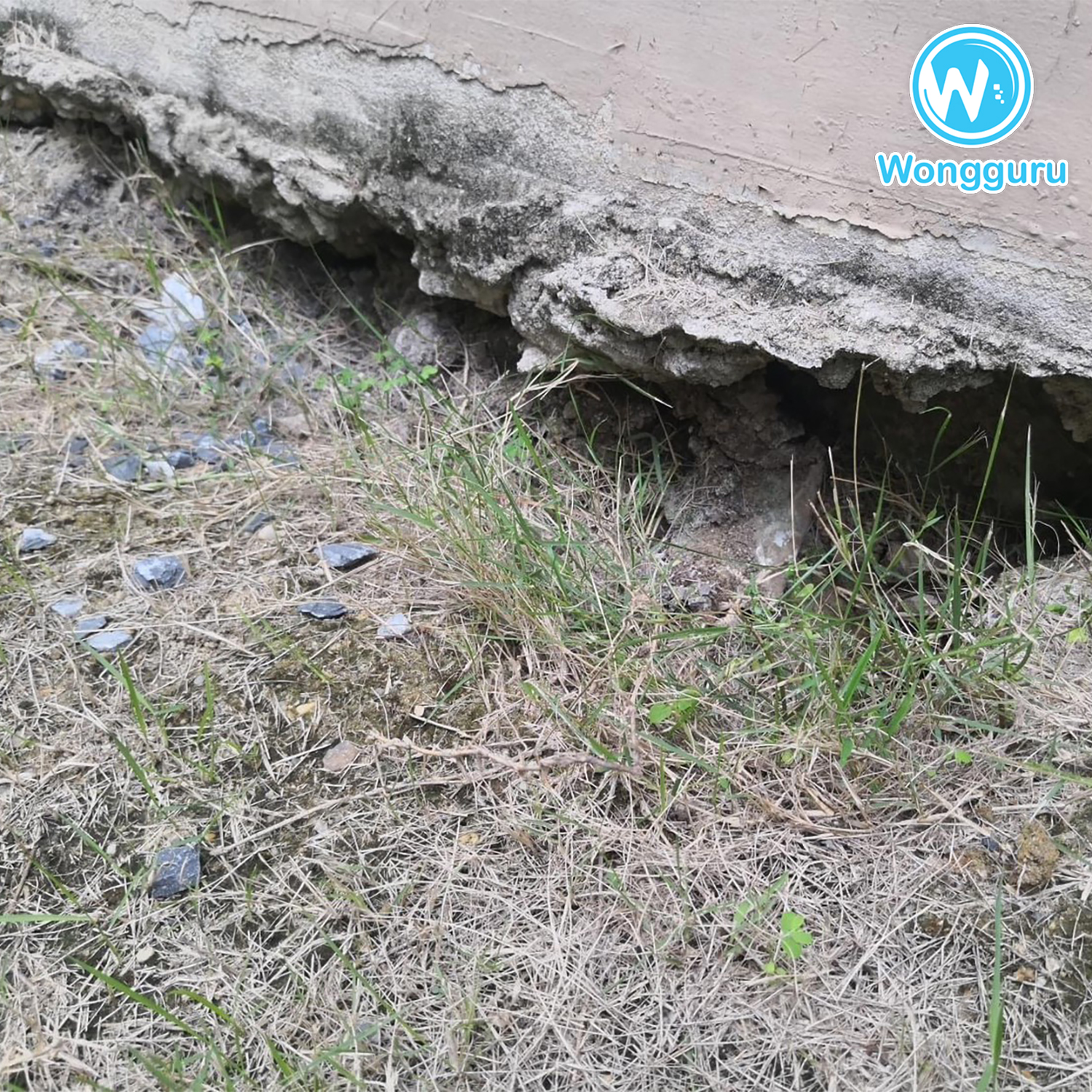 มาปิดโพรงเพื่อป้องกันดินทรุดในระยะยาวกัน มาปิดโพรงเพื่อป้องกันดินทรุดในระยะยาวกัน