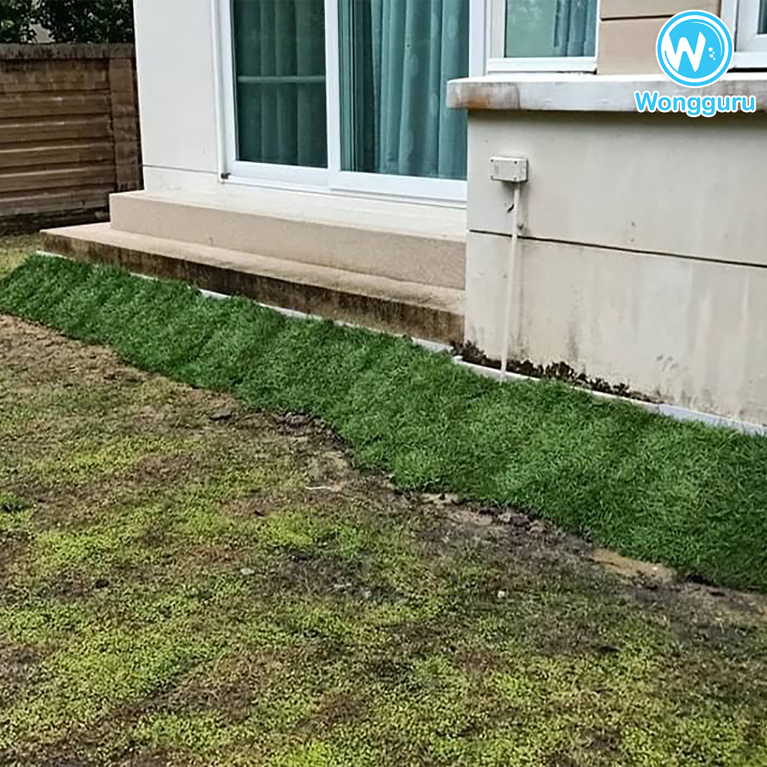 มาปิดโพรงเพื่อป้องกันสัตว์ร้ายไปอยู่ในโพรง มาปิดโพรงเพื่อป้องกันสัตว์ร้ายไปอยู่ในโพรง