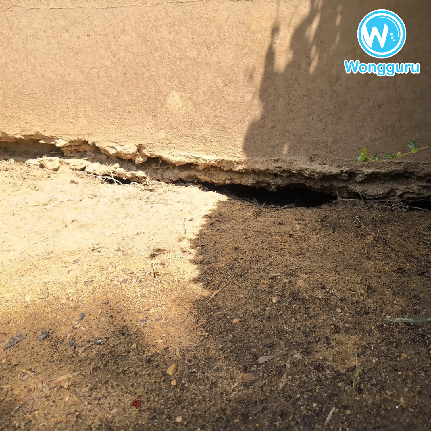 มาปิดโพรงเพื่อหยุดโพรงใต้บ้าน มาปิดโพรงเพื่อหยุดโพรงใต้บ้าน