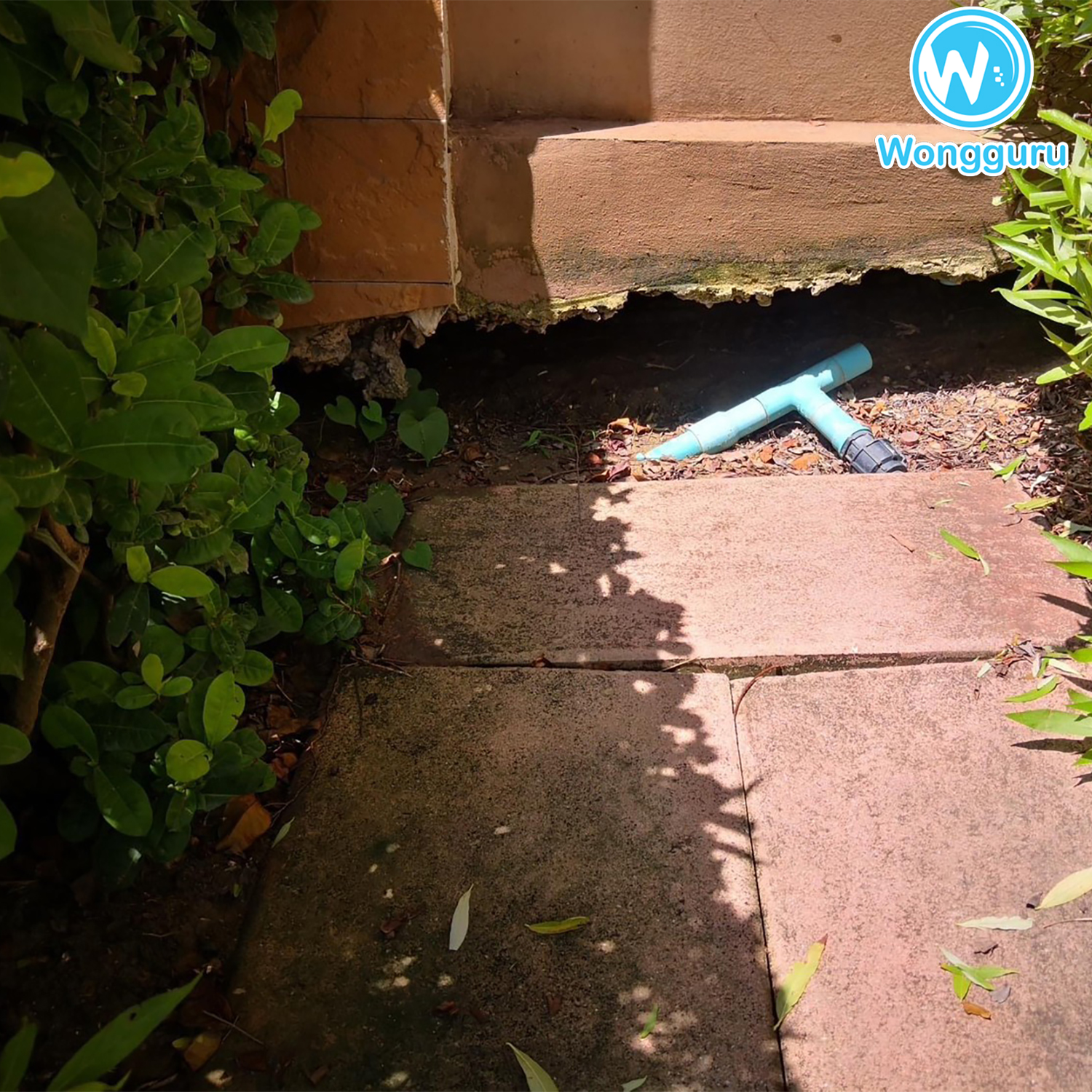 มาปิดโพรงเพื่อหยุดโพรงใต้บ้าน มาปิดโพรงเพื่อหยุดโพรงใต้บ้าน