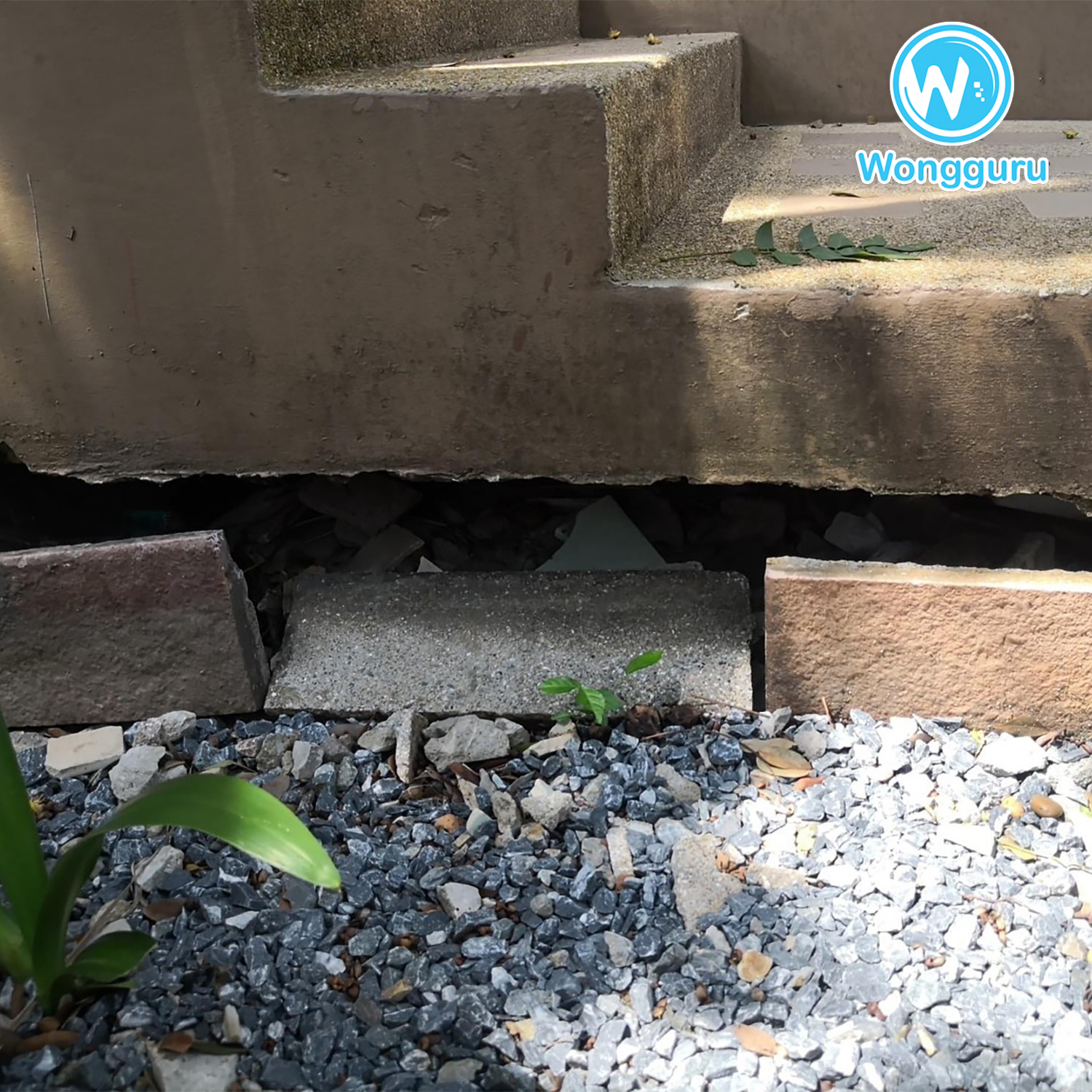 มาปิดโพรงเพื่อหยุดโพรงใต้บ้าน มาปิดโพรงเพื่อหยุดโพรงใต้บ้าน