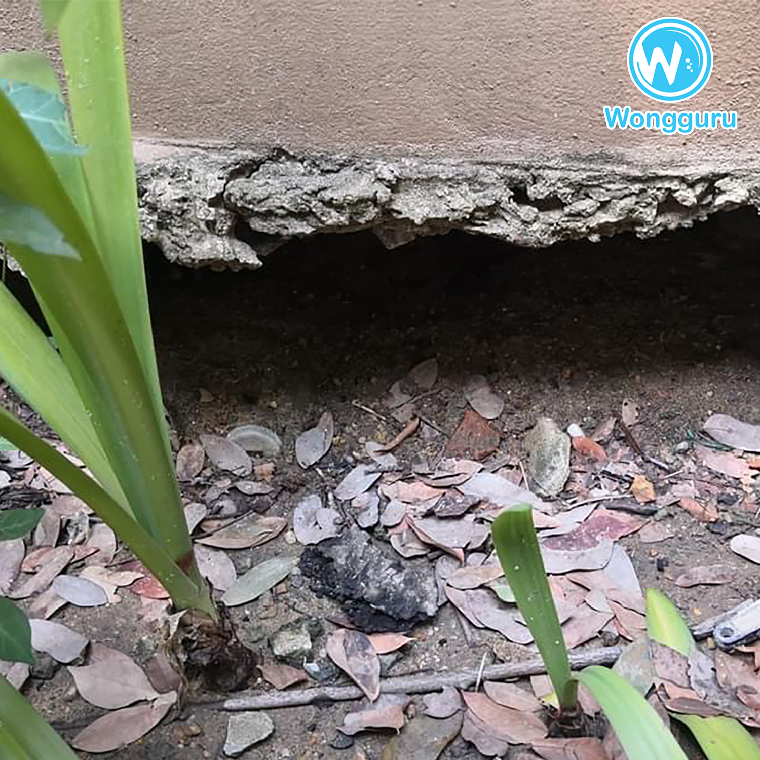 มาปิดโพรงเพื่อหยุดโพรงใต้บ้าน มาปิดโพรงเพื่อหยุดโพรงใต้บ้าน