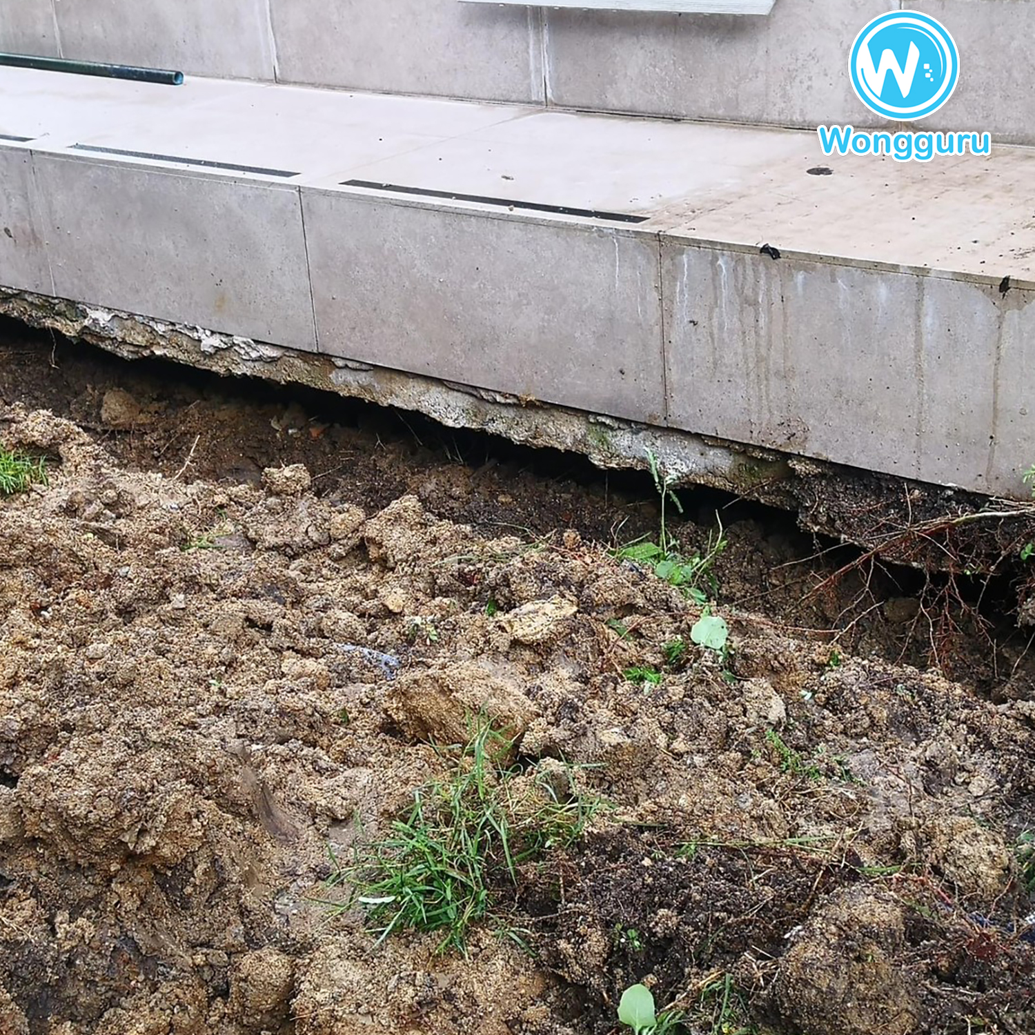 หยุดโพรงใต้บ้านกันด้วย หยุดโพรงใต้บ้านกันด้วย