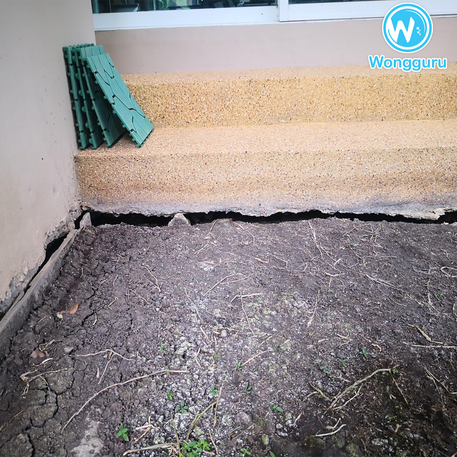 ปลูกหญ้าแต่มีโพรงใต้บ้าน ปลูกหญ้าแต่มีโพรงใต้บ้าน