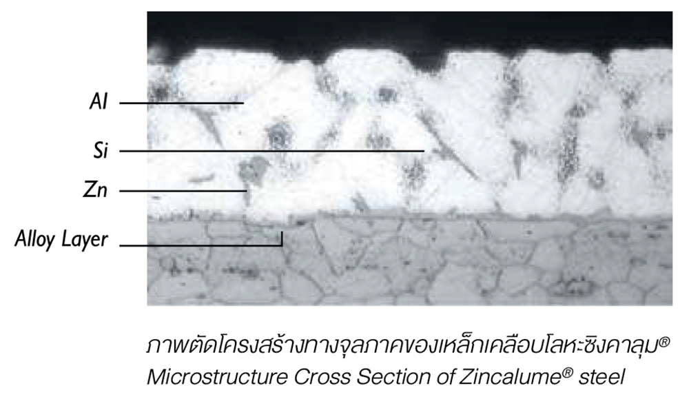 โครงสร้างทางจุลภาคของเหล็กเคลือบโลหะซิงคาลุม® โครงสร้างทางจุลภาคของเหล็กเคลือบโลหะซิงคาลุม®