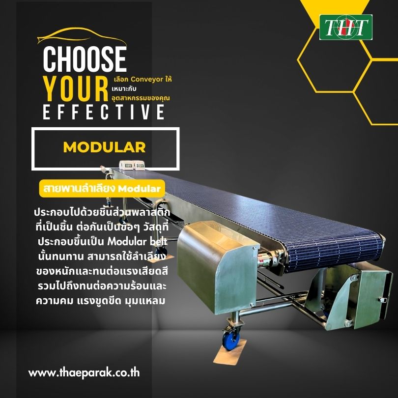 สายพาน Modular สานพานโมดูล่าร์
