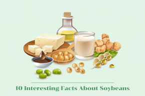 10 Interesting Facts About Soybeans