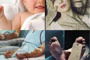 สัตว์โลกย่อมเป็นไปตามกรรม