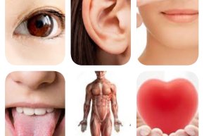 โซ่ตรวนของโลภะ โทสะ โมหะ มันร้อยรัดเราทุกคนถึง ๖ ทาง