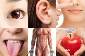 การวิปัสสนาภาวนา ดับทุกข์ได้อย่างไร?