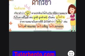 tutorbento.com รีวิว สอนพิเศษ เรียนพิเศษ ติวเตอร์ตัวต่อตัว เรียนพิเศษที่บ้าน
