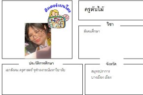 tutorbento.com ต้นไม้ สอนพิเศษสมุทรปราการ สอนสังคมศึกษา
