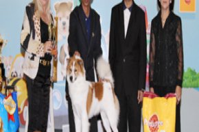Thailand International Dog Show 2012
