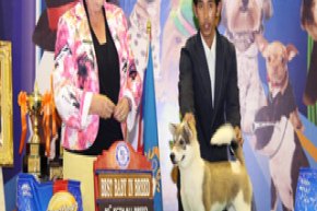 Bangkok Grand Dog Show 2012