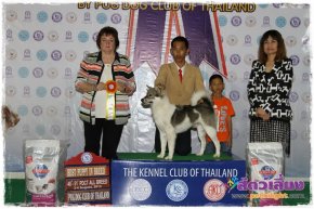 Pantip Pet Expro & National Dog Show 2013