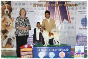 Pantip Pet Expro & National Dog Show 2013