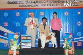 SmartHeart Champion Of Champions Dog Show 2014