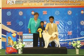 Bangkok FCI International Championship Dog Show 2014