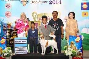 Thailand International Dog Show 2014