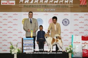 ROYAL CANIN INTERNATIONAL DOG SHOW 2014