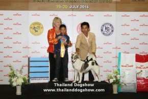 ROYAL CANIN INTERNATIONAL DOG SHOW 2014
