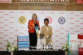 ROYAL CANIN INTERNATIONAL DOG SHOW 2014