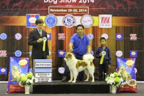 SmartHeart Presents The Mall Toy Championship Dog Show 7/2014