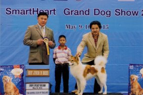 Bangkok FCI International Championship Dog Show 2015