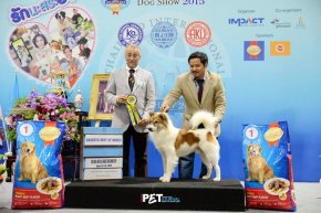 SmartHeart presents Thailand International Dog Show 2015