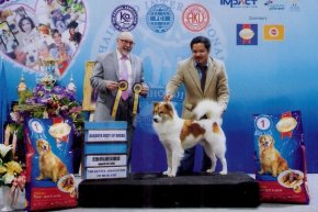 SmartHeart presents Thailand International Dog Show 2015