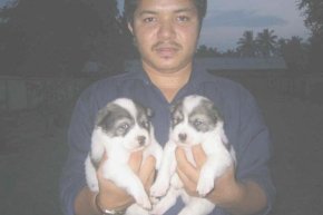 15 ปี ของเรามุมหนึ่งฟาร์ม
