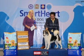 SmartHeart Grand Dog Show 2019
