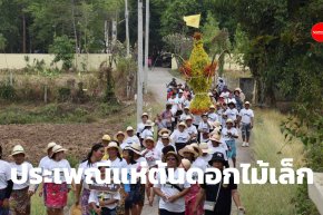 งานประเพณีแห่ต้นดอกไม้เล็ก อ.ท่าลี่ (คลิป)