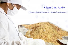 Clean Gum Arabic 