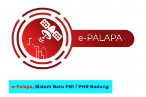e-Palapa, Sistem Baru PB1 / PHR Badung