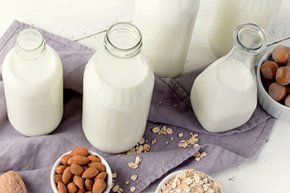 ภาพรวมของอุตสาหกรรมนมและนมทางเลือก Overview of the Dairy and Diary Alternatives Industry